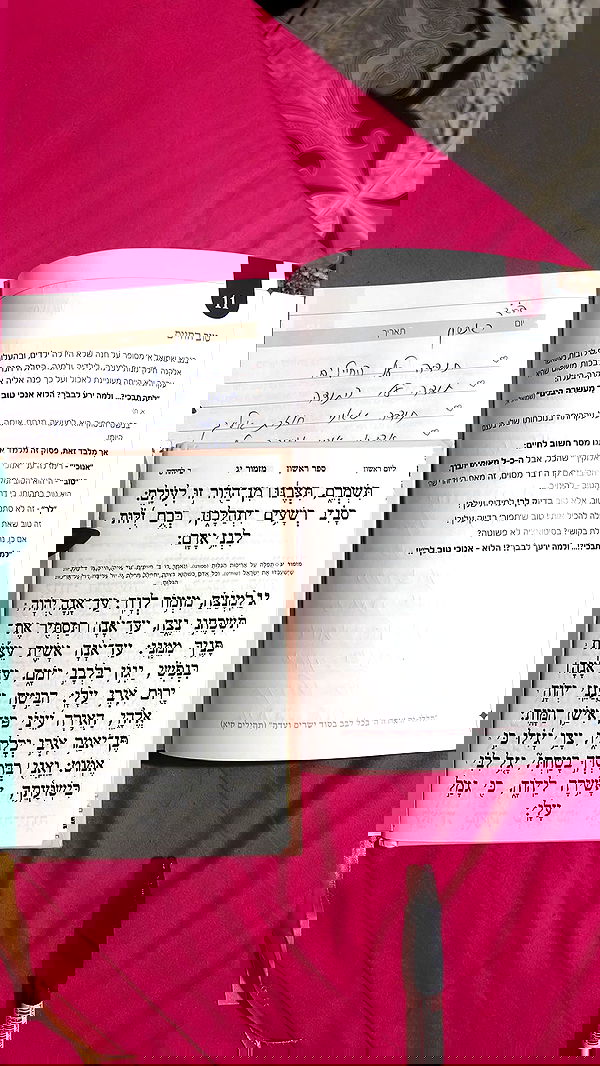 yulialam__ yulialam__ archive image