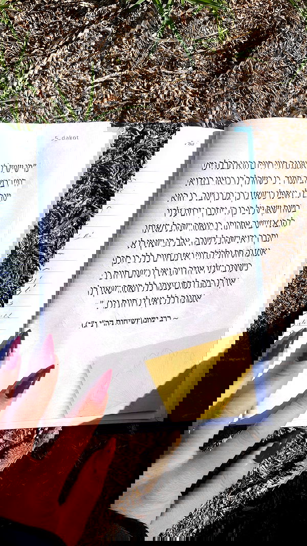 yulialam__ yulialam__ archive image