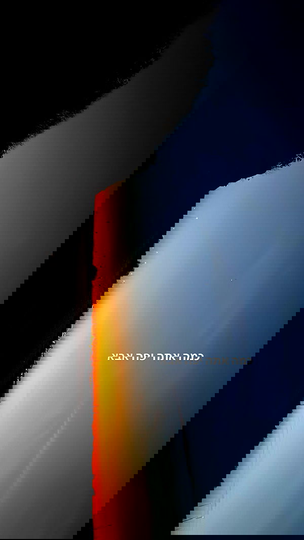 yulialam__ yulialam__ archive image