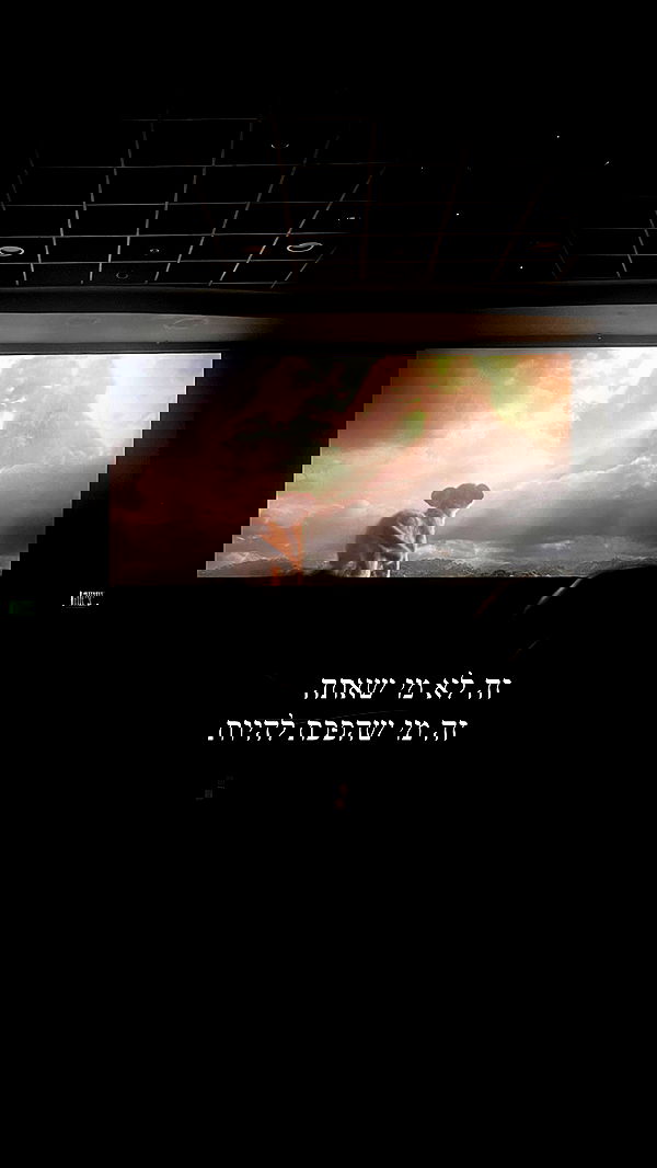 yulialam__ yulialam__ archive image