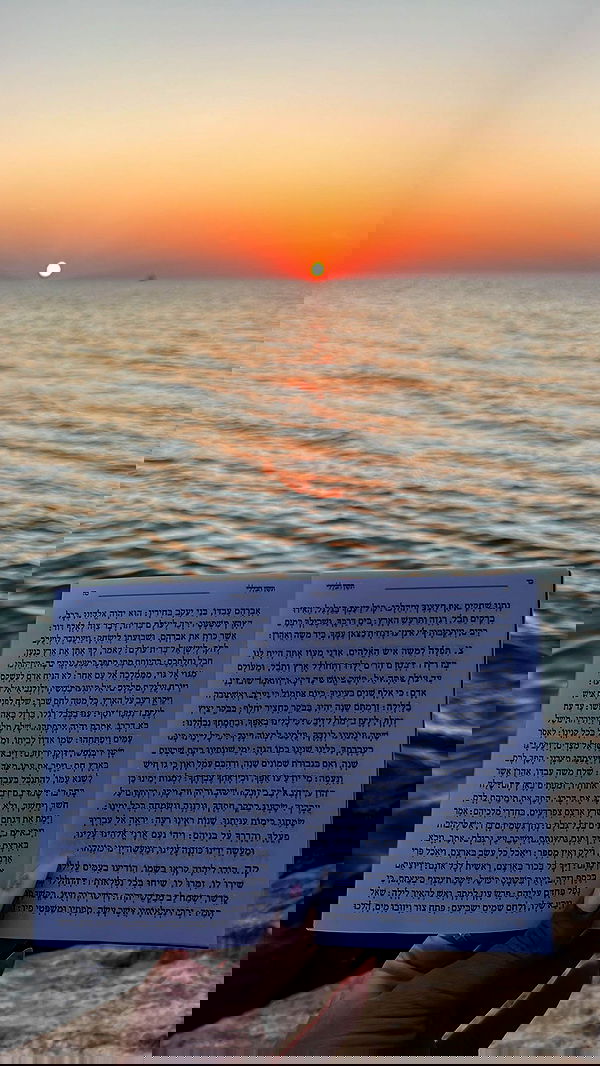 yulialam__ yulialam__ archive image