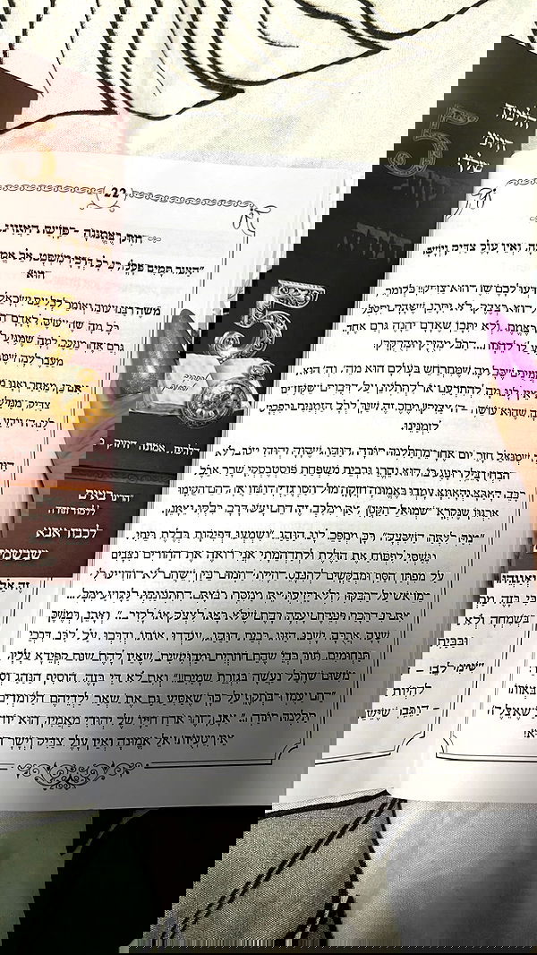 yulialam__ yulialam__ archive image