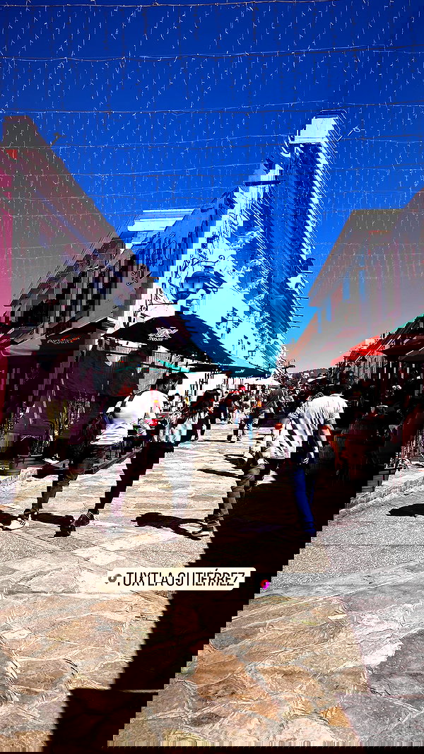 yuliett.torres yuliett.torres archive image