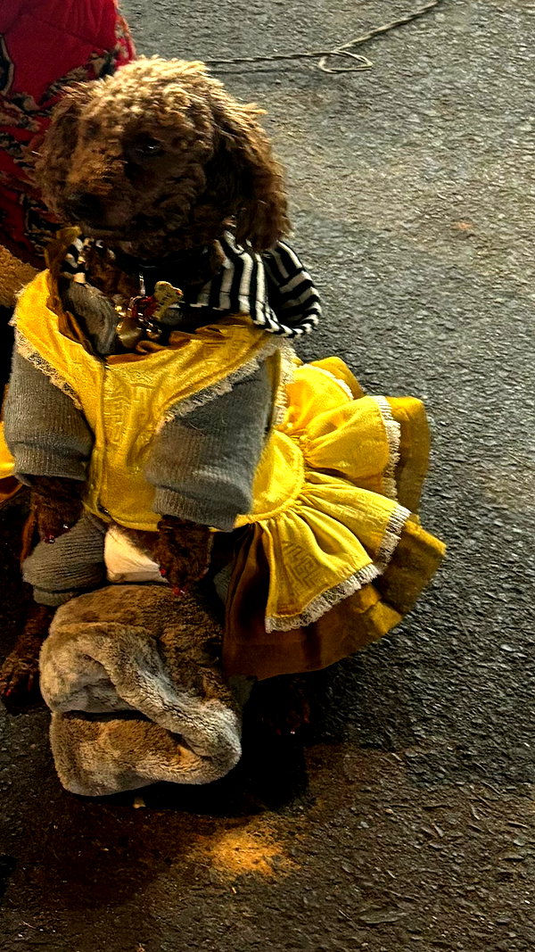 yumisback17 instagram image archive image