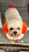 yumisback17 Altpins Profile Picture