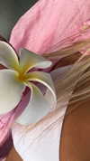 yumisback17 Altpins Profile Picture