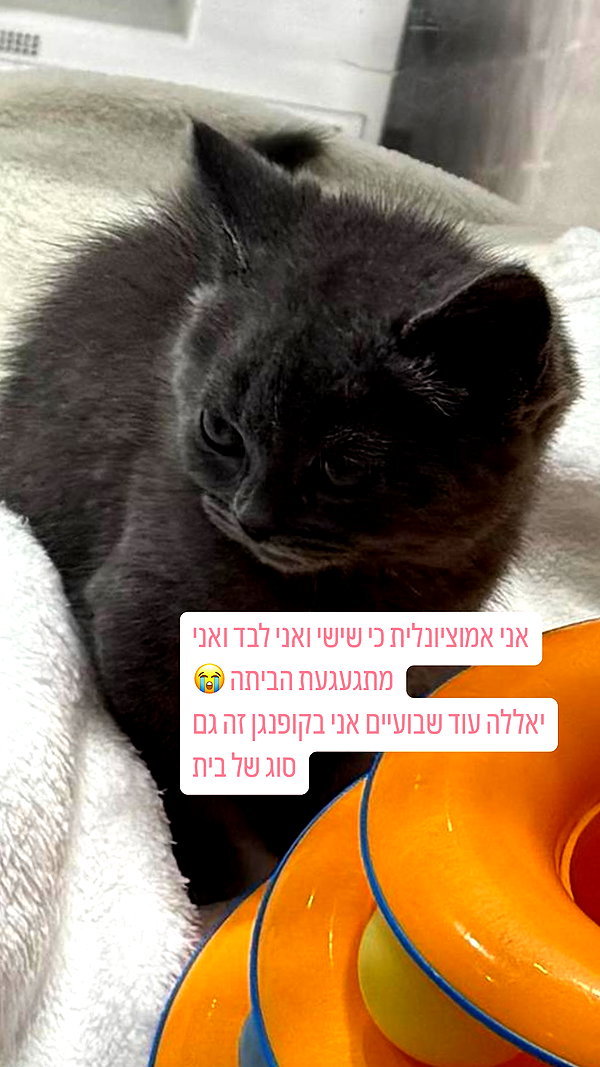 yumisback17 instagram image archive image