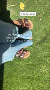 yumisback17 Altpins Profile Picture