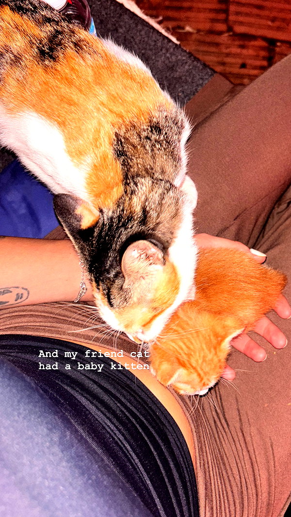 yumisback17 instagram image archive image