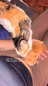 yumisback17 Altpins Profile Picture