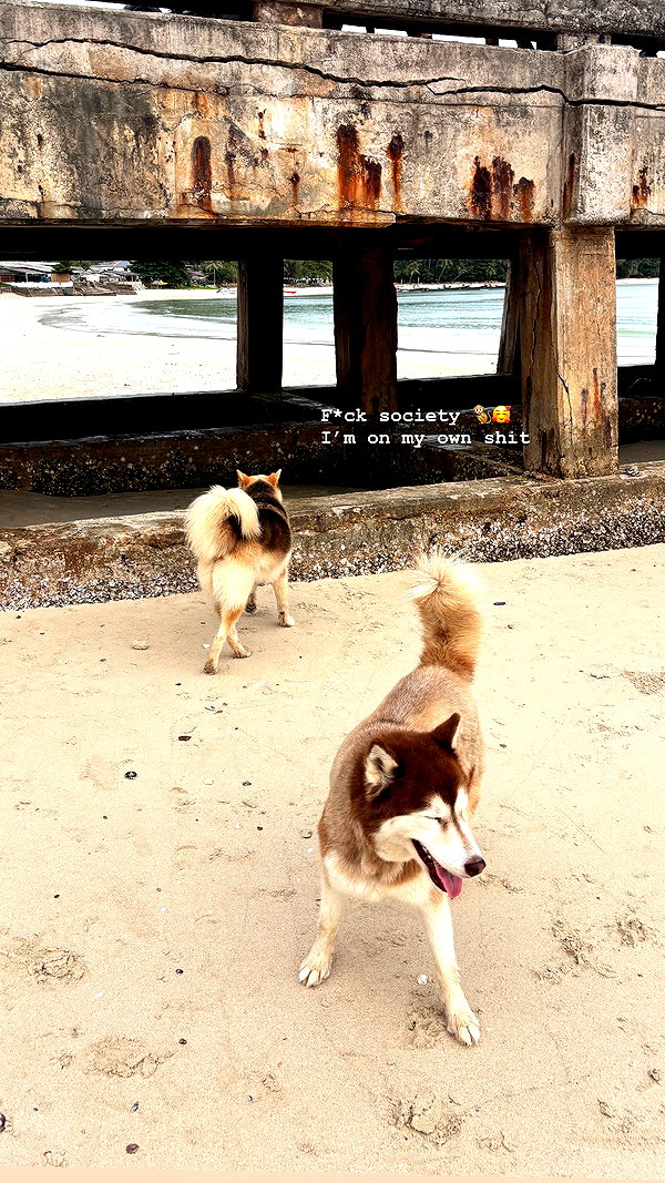 yumisback17 instagram image archive image