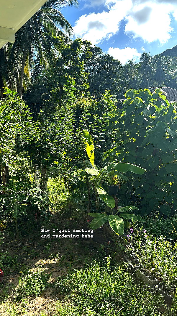yumisback17 instagram image archive image