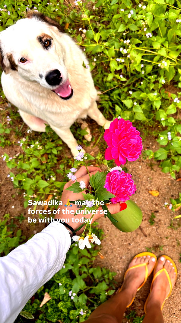 yumisback17 instagram image archive image