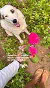 yumisback17 Altpins Profile Picture