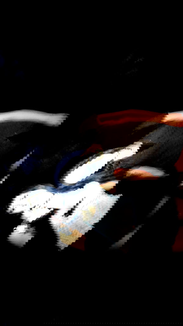 yungbratzh yungbratzh archive image