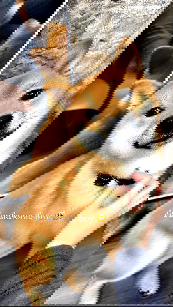 yungbratzh yungbratzh archive image