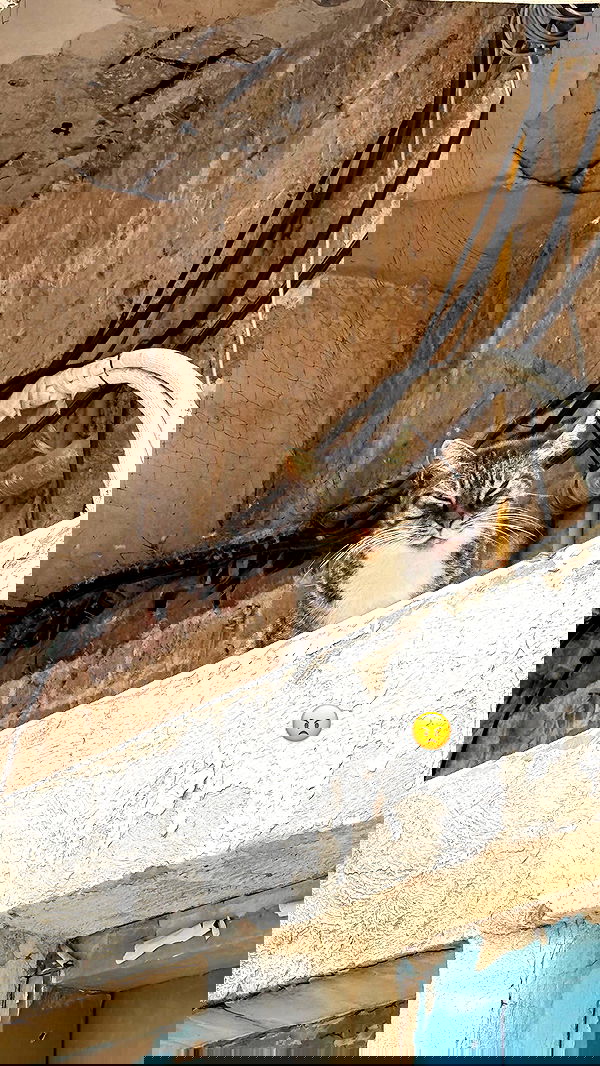 yuri.gever yuri.gever archive image