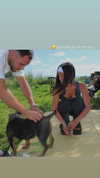 yuval.rene.pinto Altpins Profile Picture