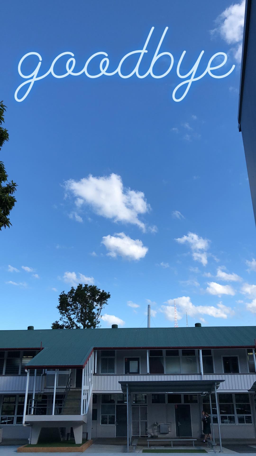 ywwyiiing instagram image archive image