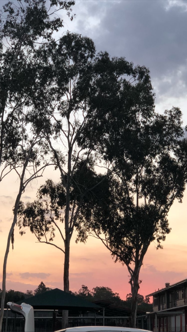 ywwyiiing instagram image archive image