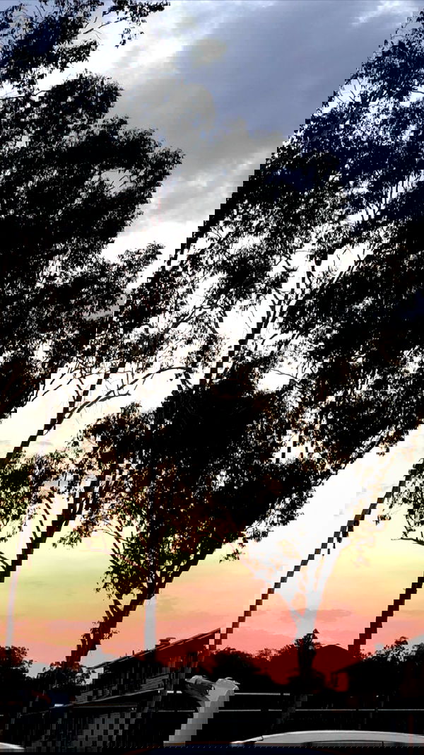 ywwyiiing image ~ Altpins