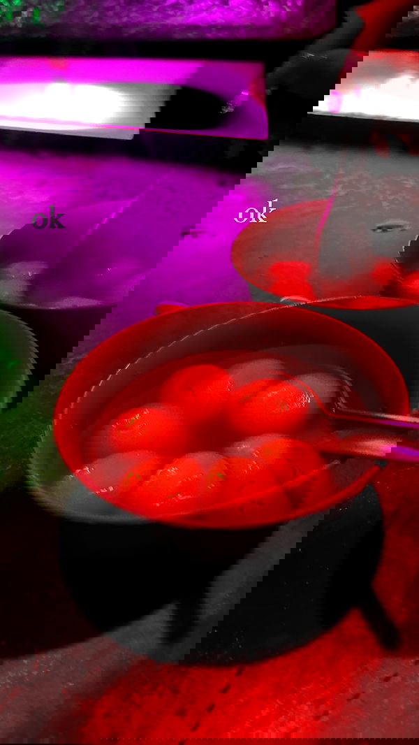 ywwyiiing image ~ Altpins