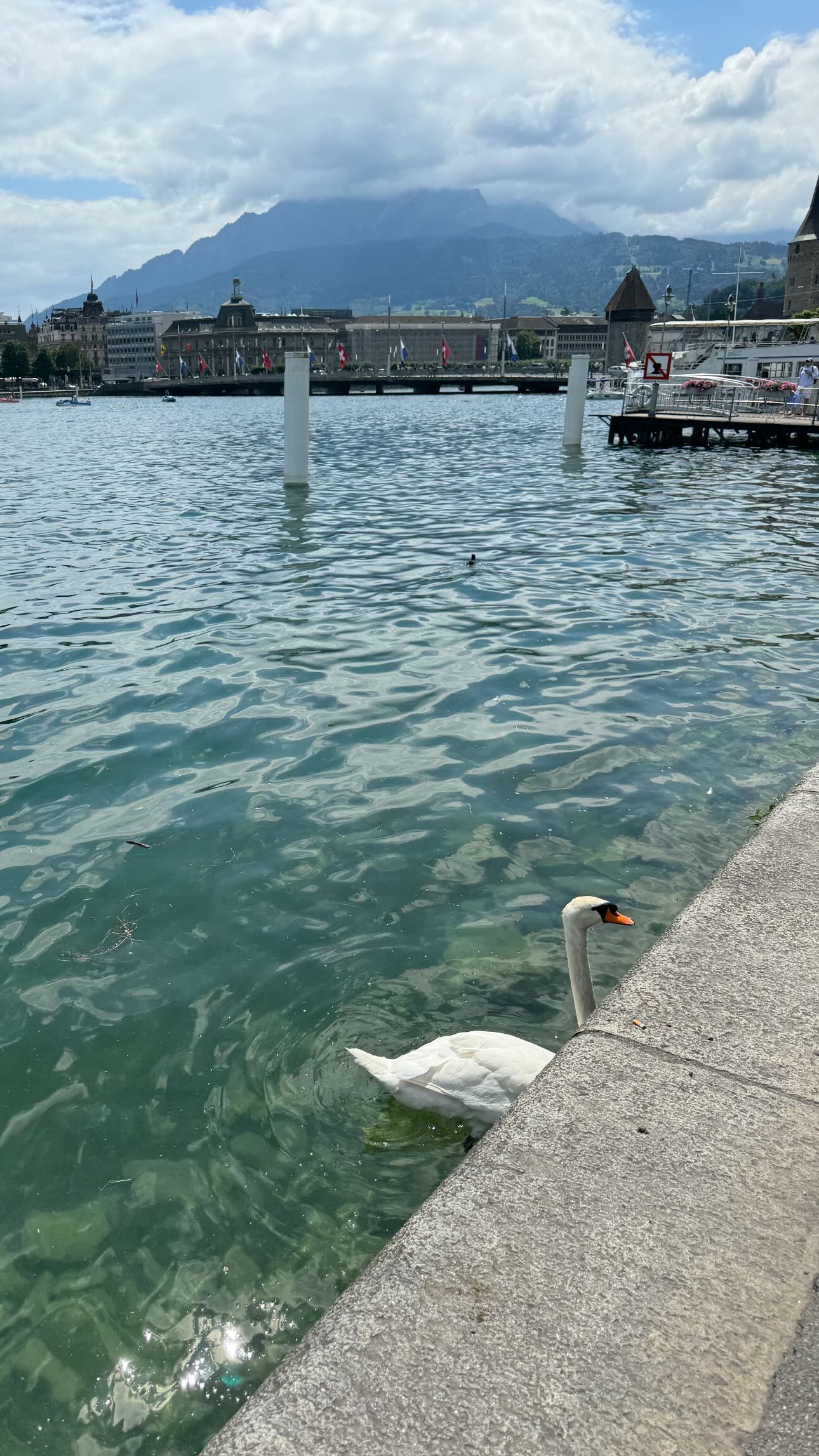 ywwyiiing instagram image archive image