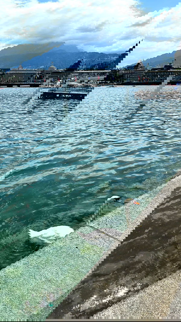 ywwyiiing image ~ Altpins