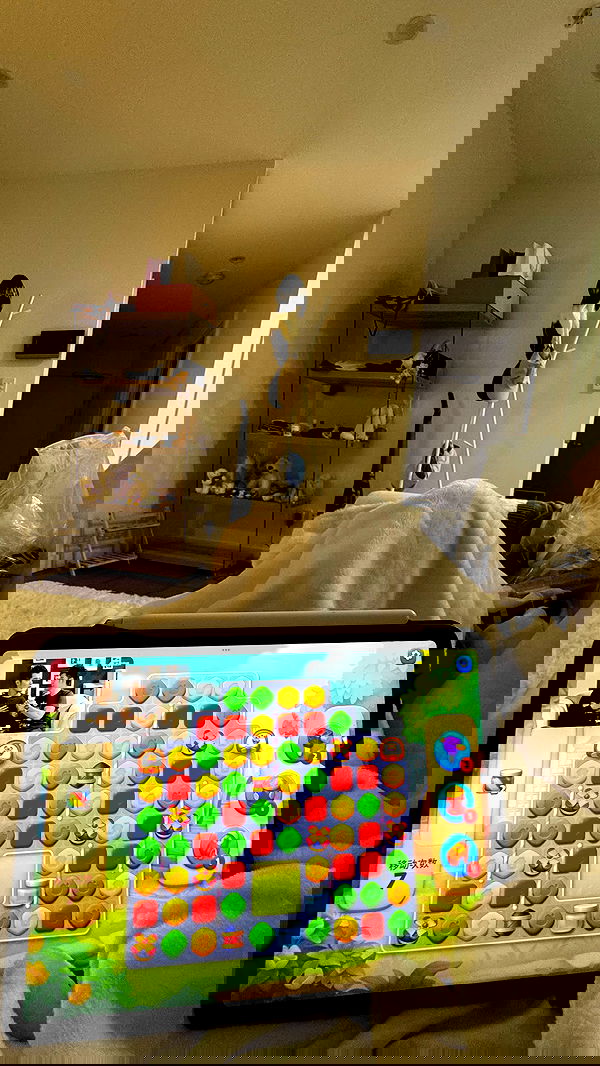 ywwyiiing image ~ Altpins