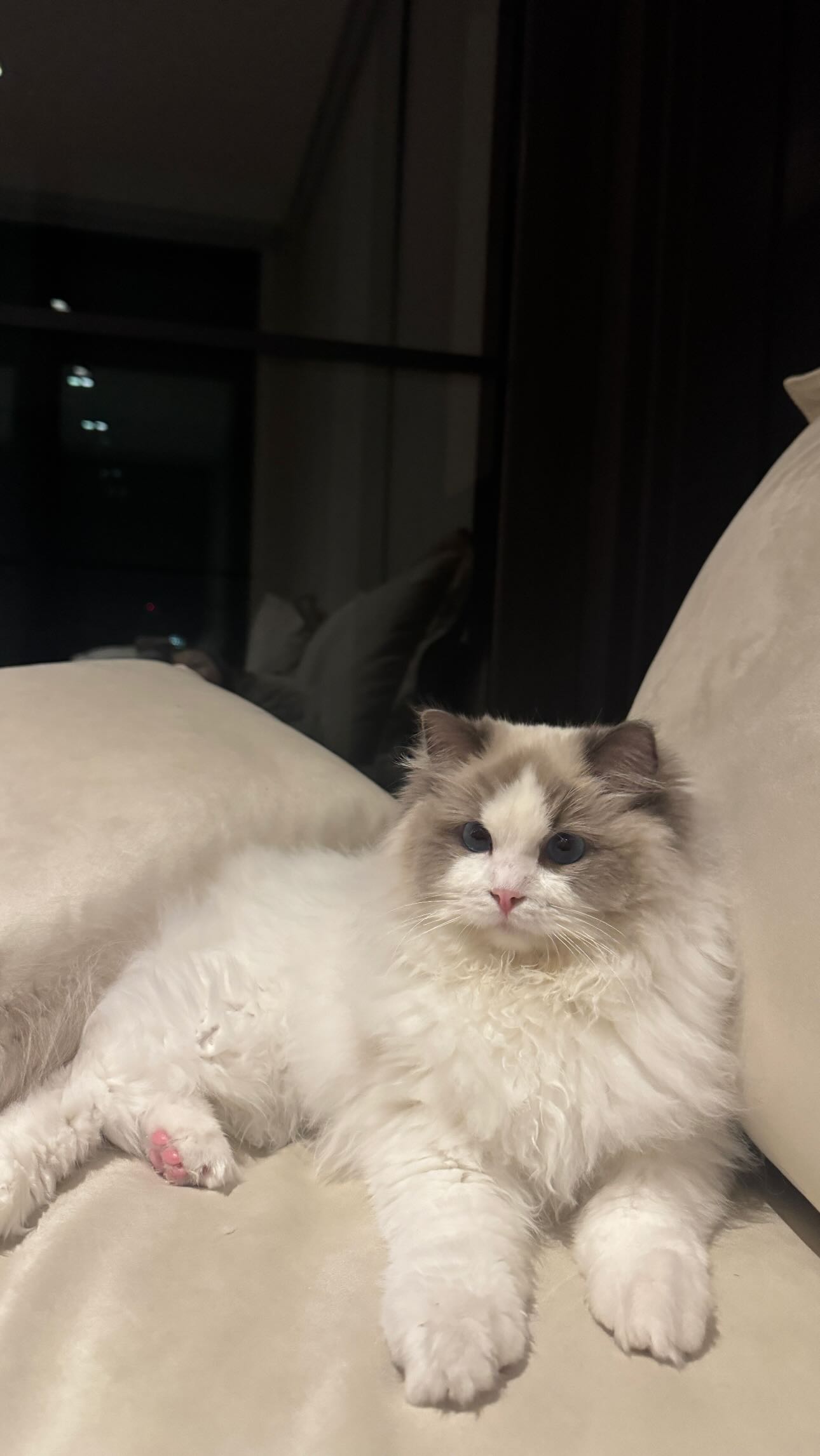 ywwyiiing instagram image archive image