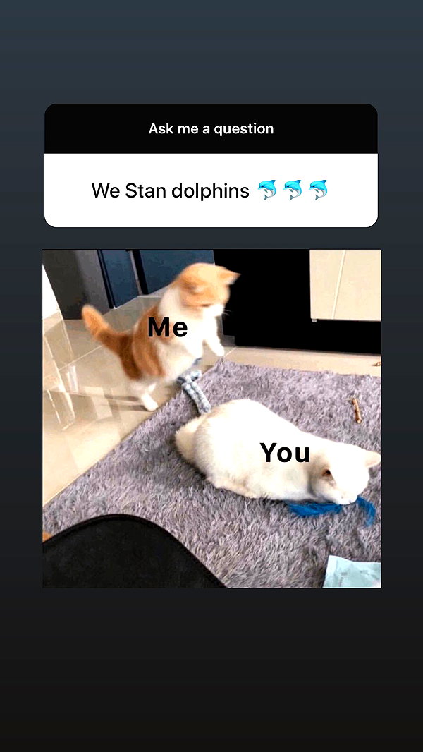zaperwave instagram image archive image