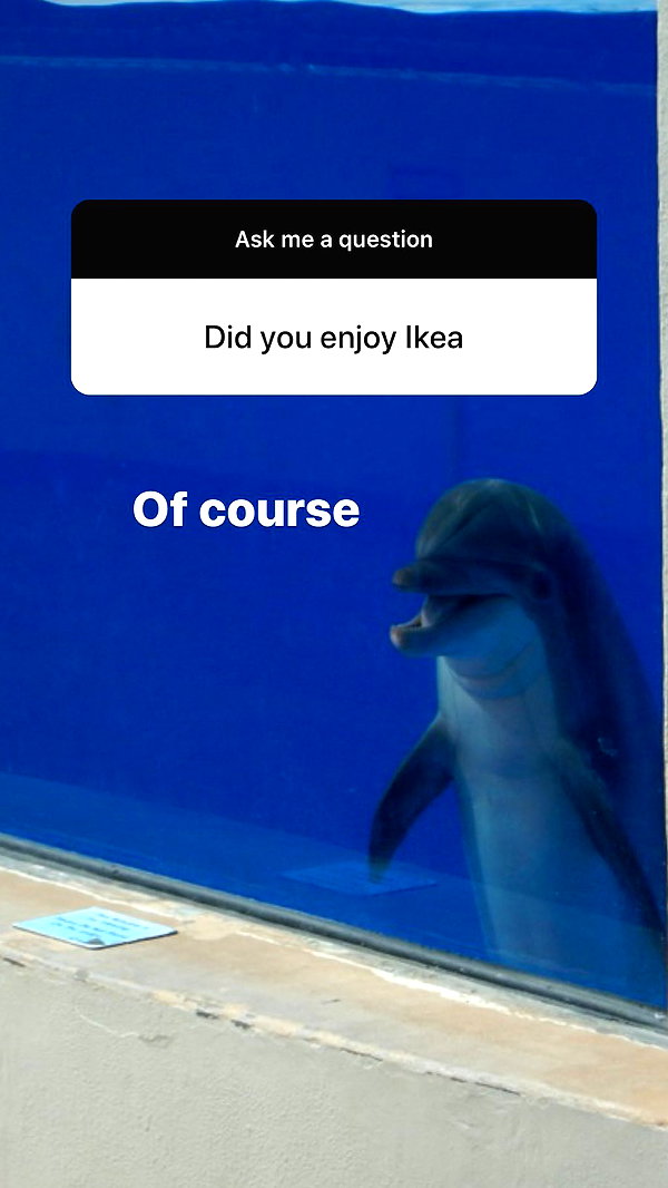 zaperwave instagram image archive image