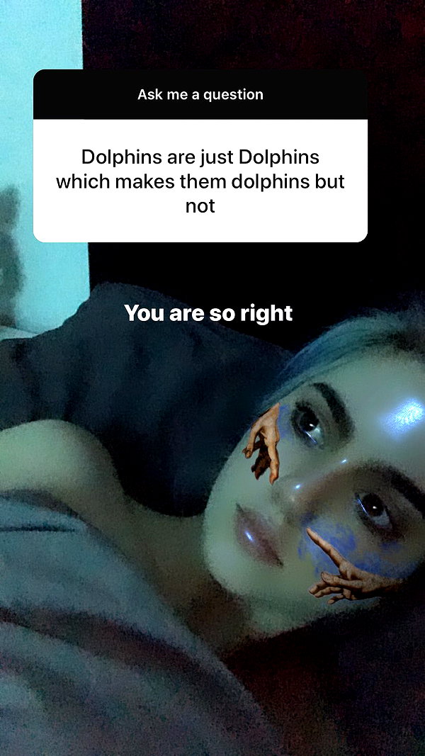 zaperwave instagram image archive image