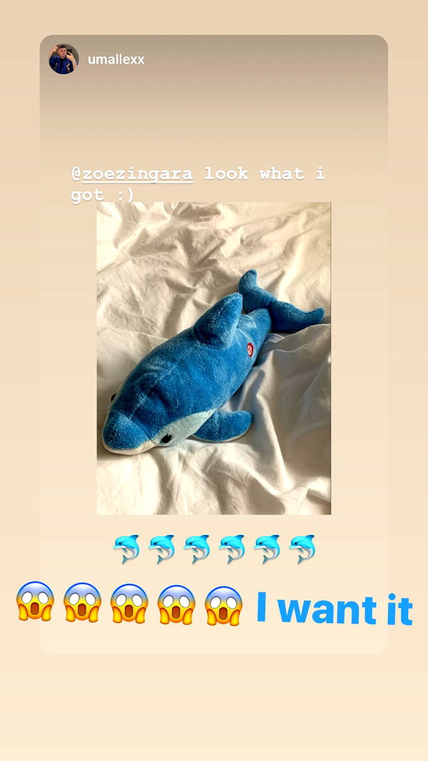 zaperwave instagram image archive image