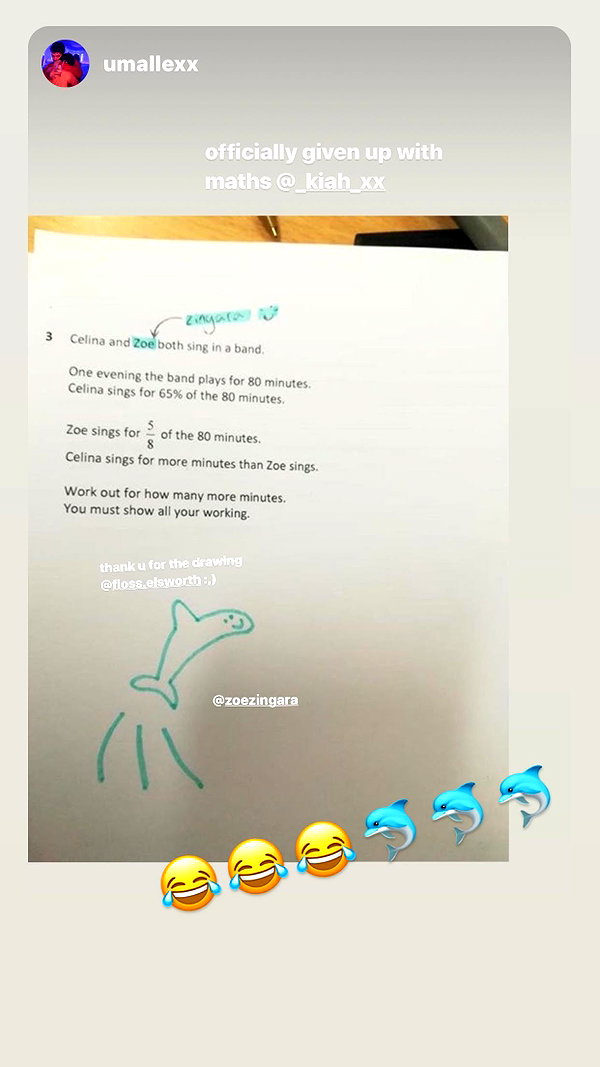 zaperwave instagram image archive image