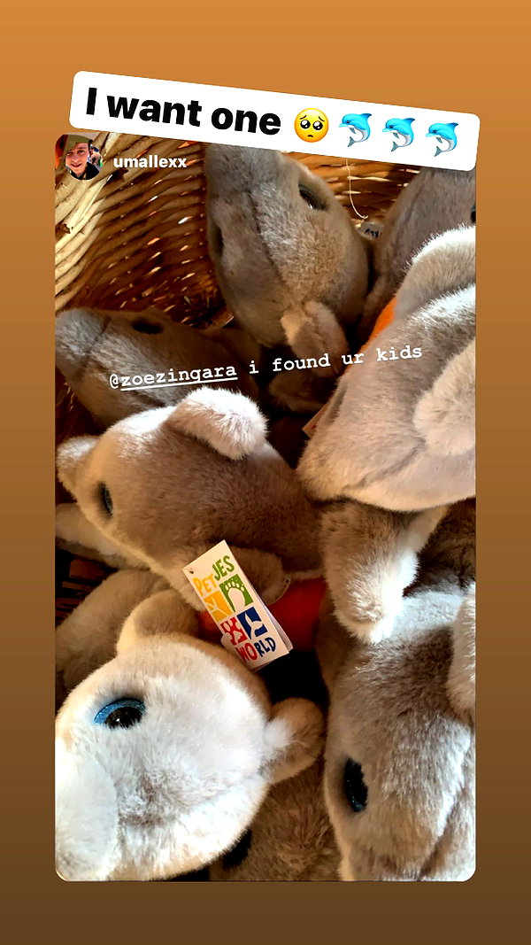 zaperwave instagram image archive image