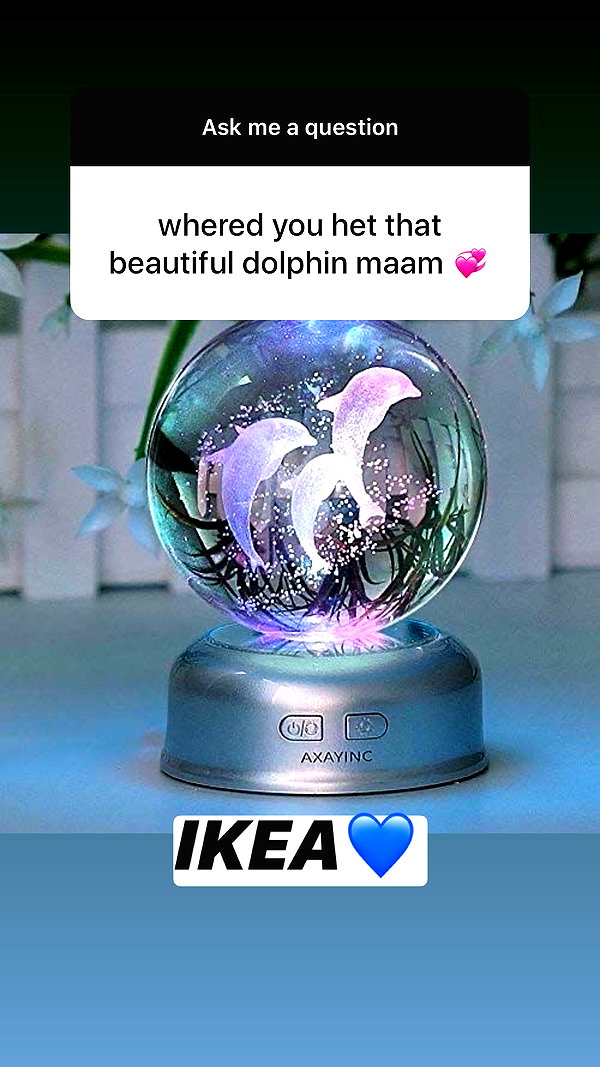zaperwave instagram image archive image