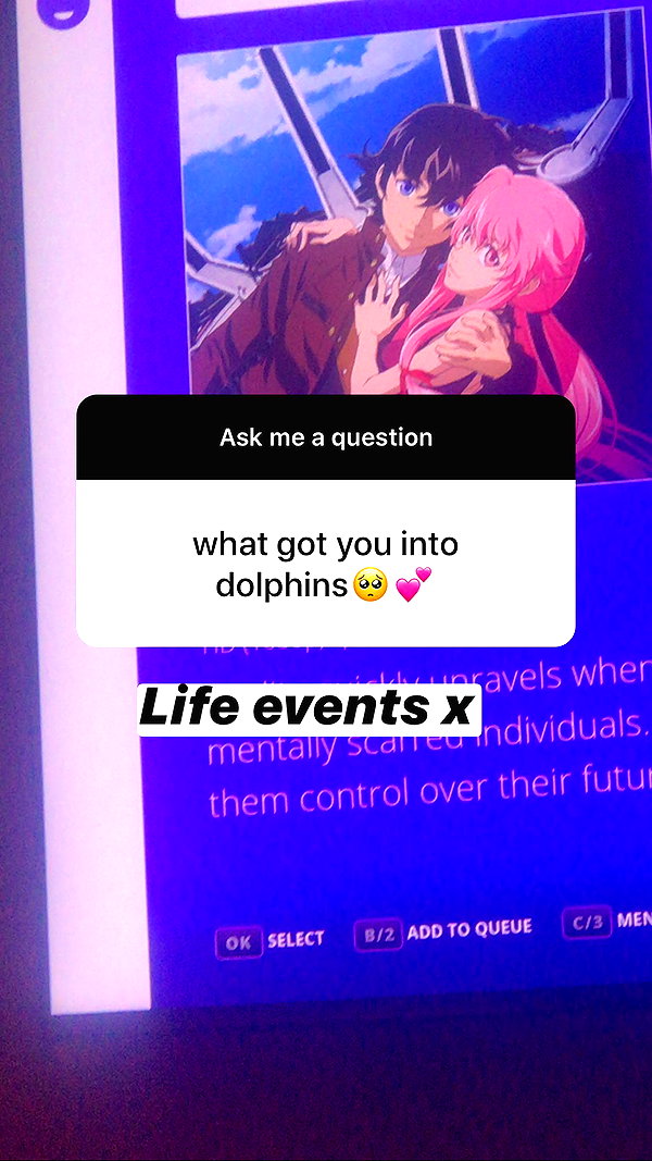 zaperwave instagram image archive image