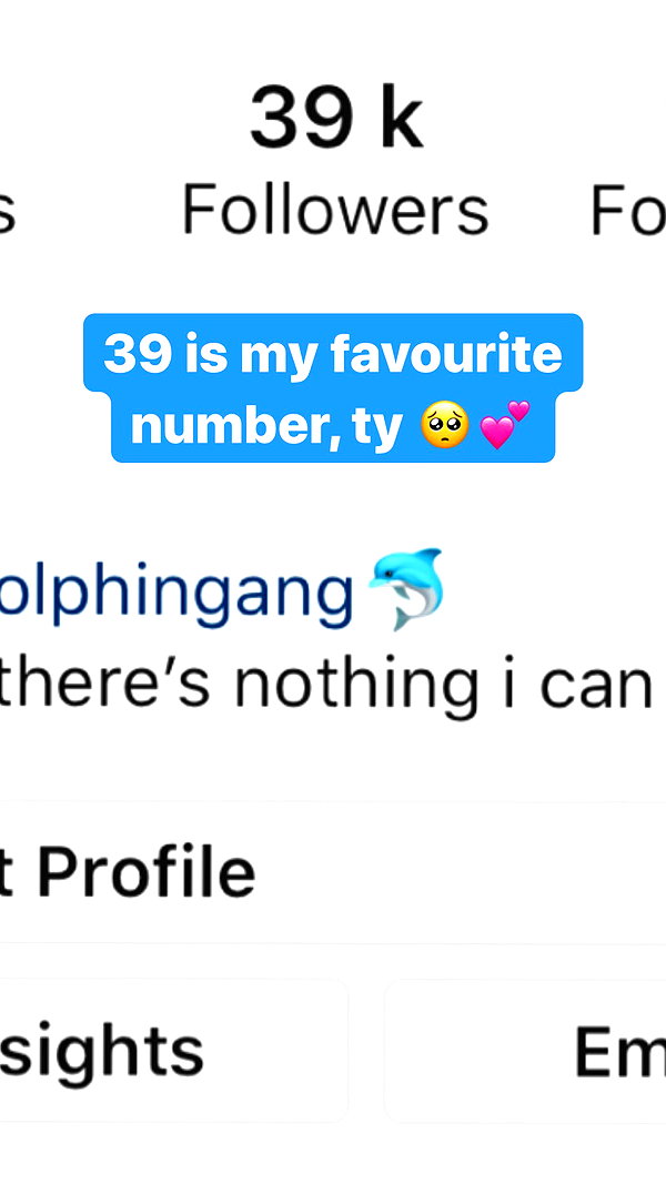 zaperwave instagram image archive image