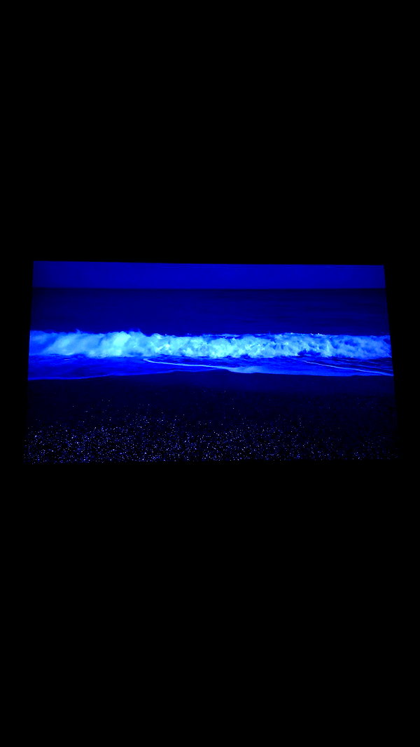 zaperwave instagram image archive image