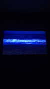 zaperwave Altpins Profile Picture