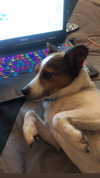 zaperwave Altpins Profile Picture