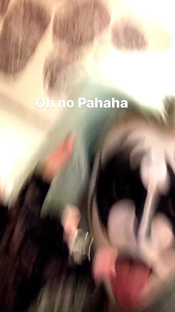 zaperwave instagram image archive image