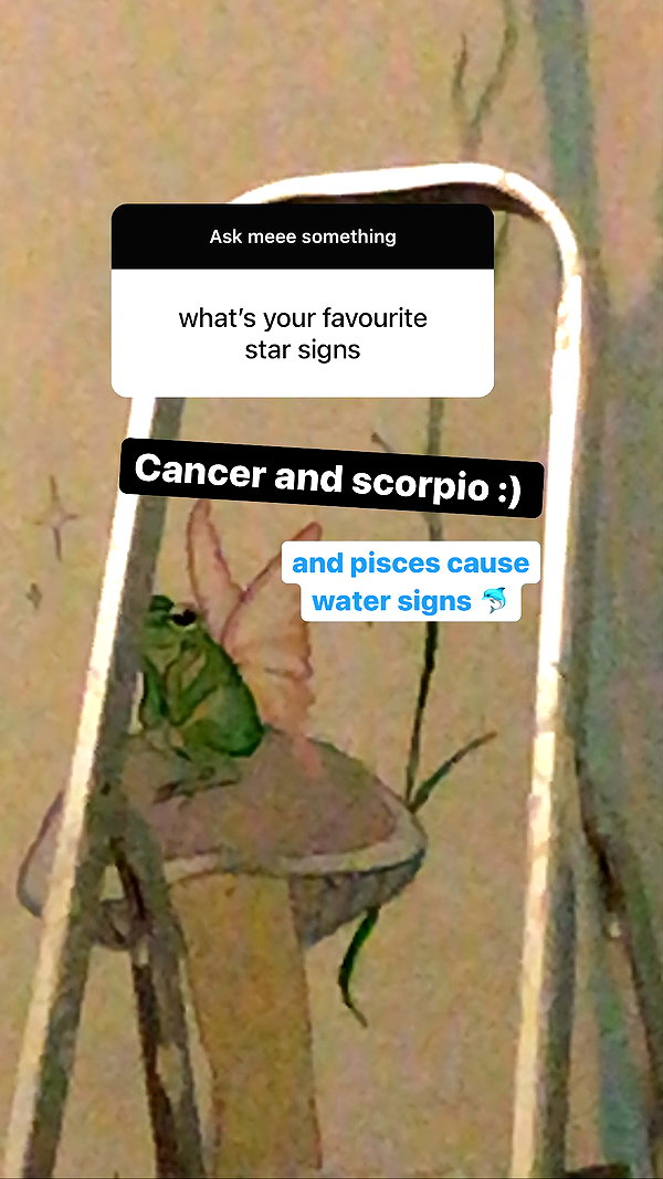 zaperwave instagram image archive image