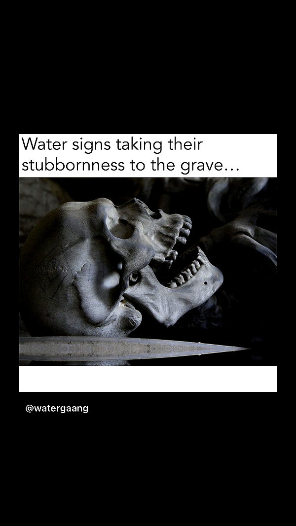 zaperwave instagram image archive image