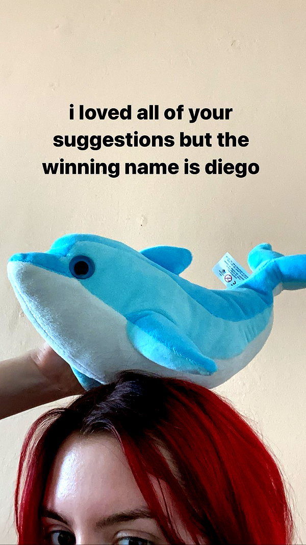 zaperwave instagram image archive image