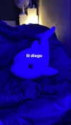 zaperwave Altpins Profile Picture