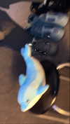 zaperwave Altpins Profile Picture