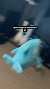 zaperwave Altpins Profile Picture
