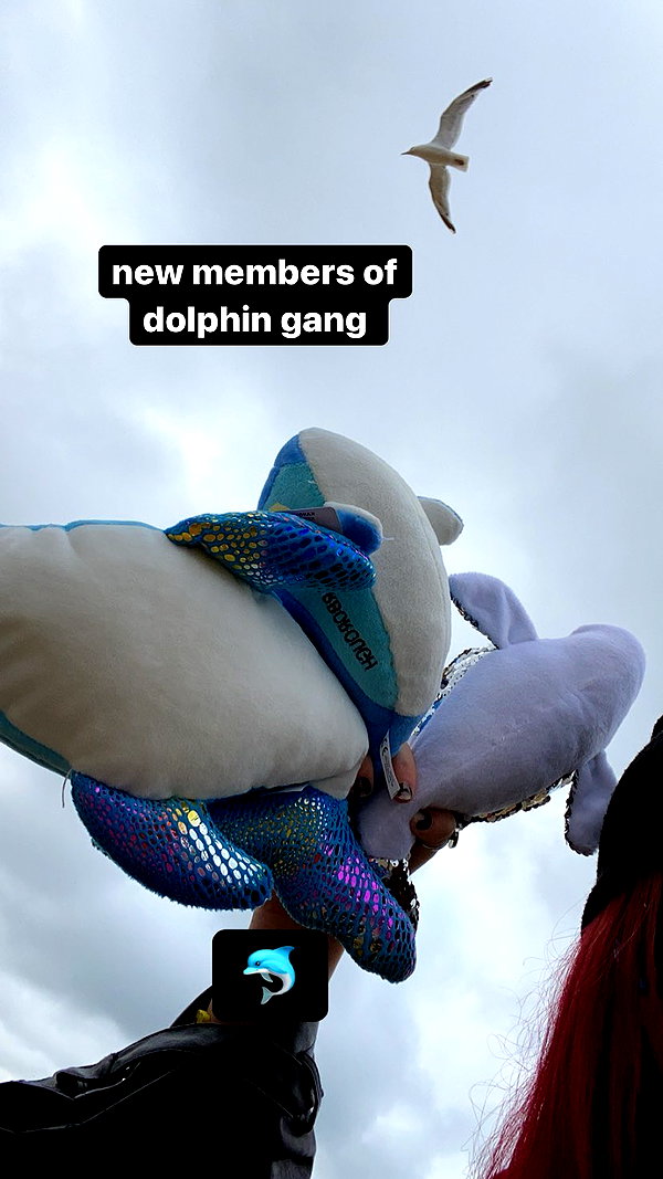 zaperwave zaperwave archive image
